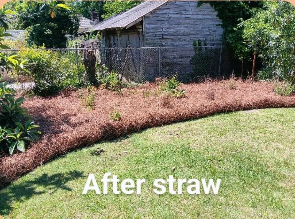 Local yard cleanup service for year-round maintenance in Bradley, SC by Alan's Lawn Maintenance