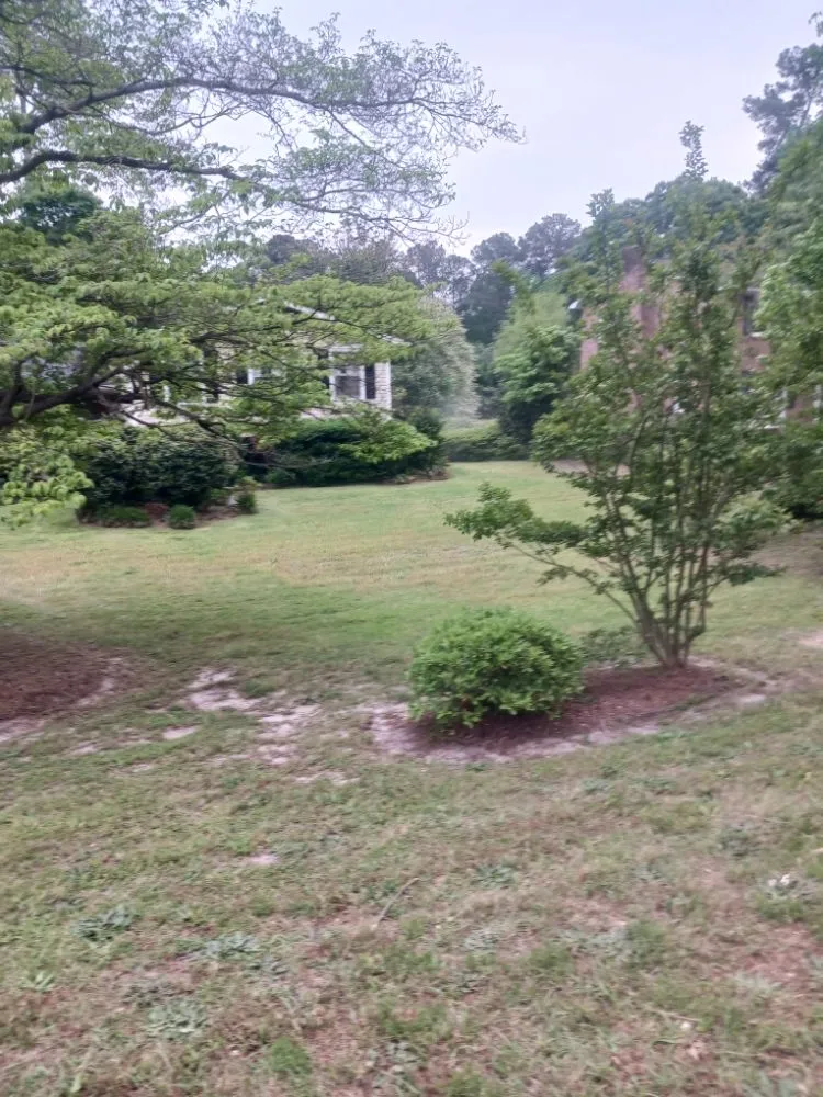 Custom garden landscaping in Bradley, SC by Alan's Lawn Maintenance