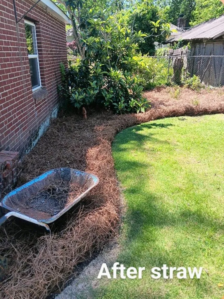 Local outdoor landscaping in Bradley, SC - Alan's Lawn Maintenance