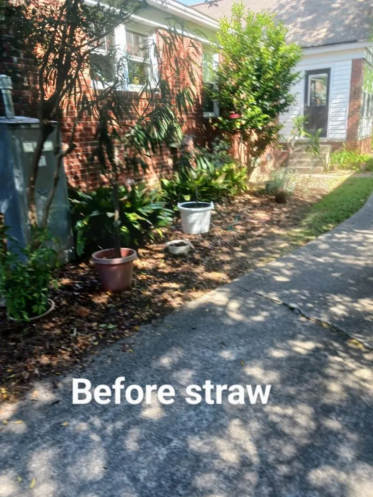 Expert outdoor landscaping in Bradley, SC by Alan's Lawn Maintenance