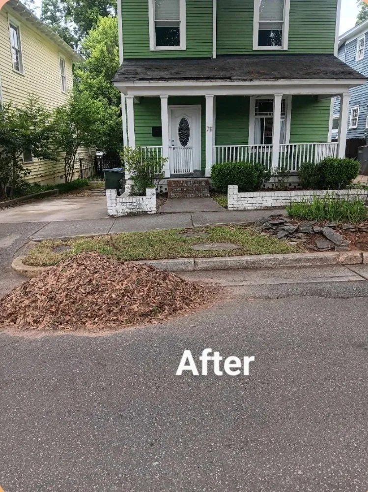 Top-rated lawn mowing service for outdoor upgrades in Bradley, SC by Alan's Lawn Maintenance