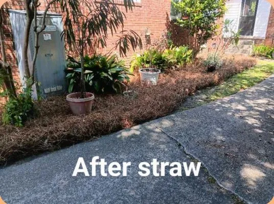 Alan's Lawn Maintenance