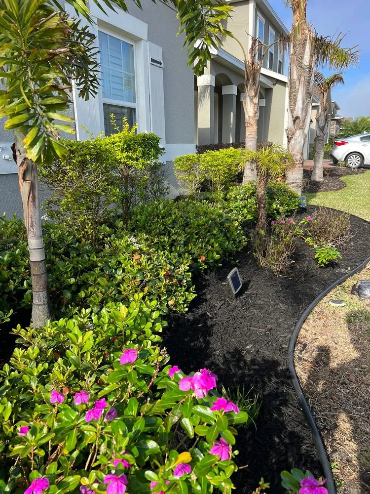 Top-rated yard maintenance for homes in Davenport, FL by Alan's Services