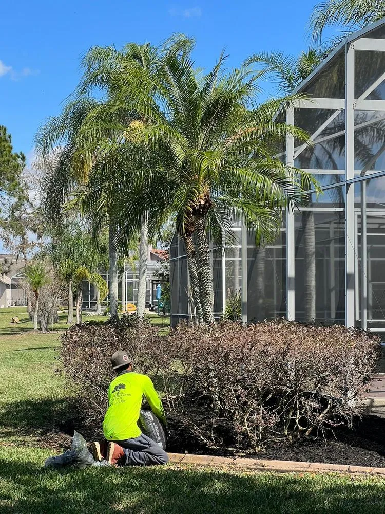 Professional landscape design in Davenport, FL by Alan's Services