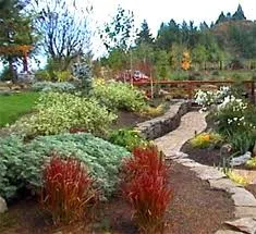 Top-rated yard cleanup service for residential properties across St. Cloud, FL - Alan'S Tree Service & Lawnscape