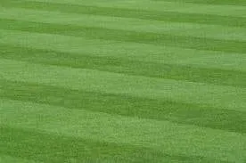 Custom outdoor landscaping experts serving St. Cloud, FL - Alan'S Tree Service & Lawnscape