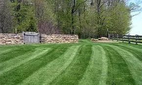 Affordable lawn care service in St. Cloud, FL - Alan'S Tree Service & Lawnscape