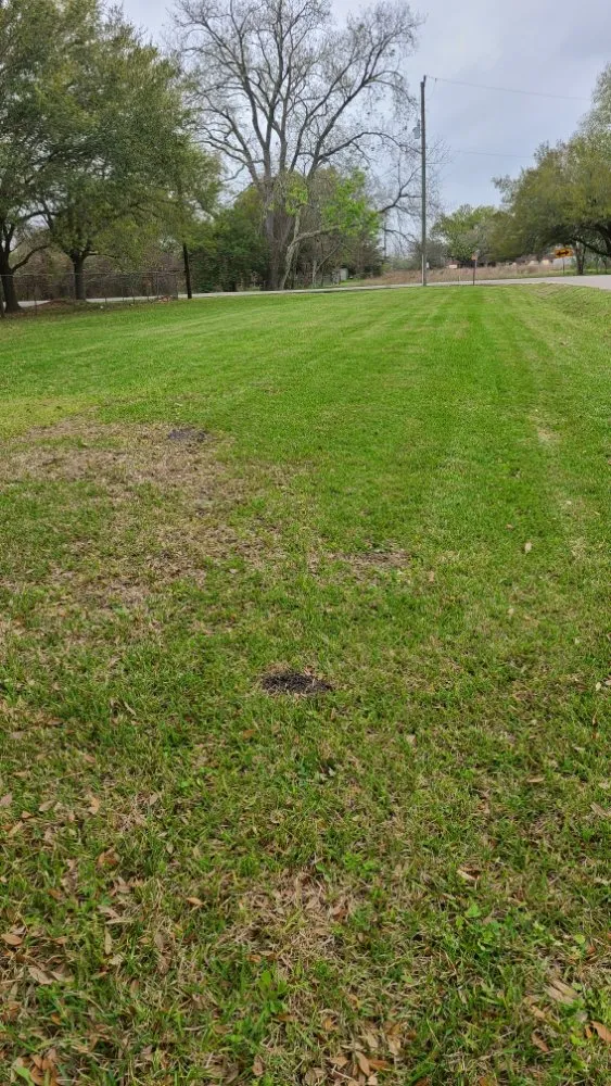 Custom residential landscaping in Houston, TX - Alarcon Landscaping