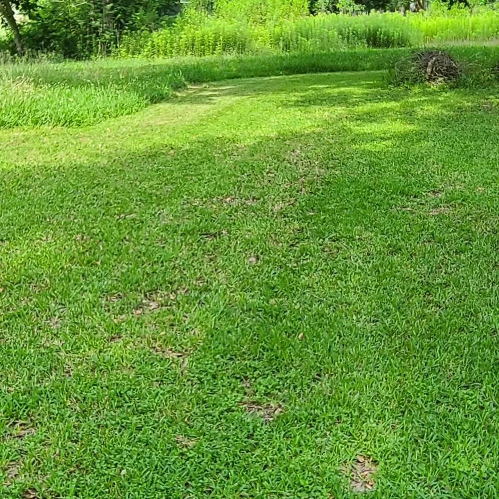 Trusted landscape installation for year-round maintenance in Houston, TX by Alarcon Landscaping