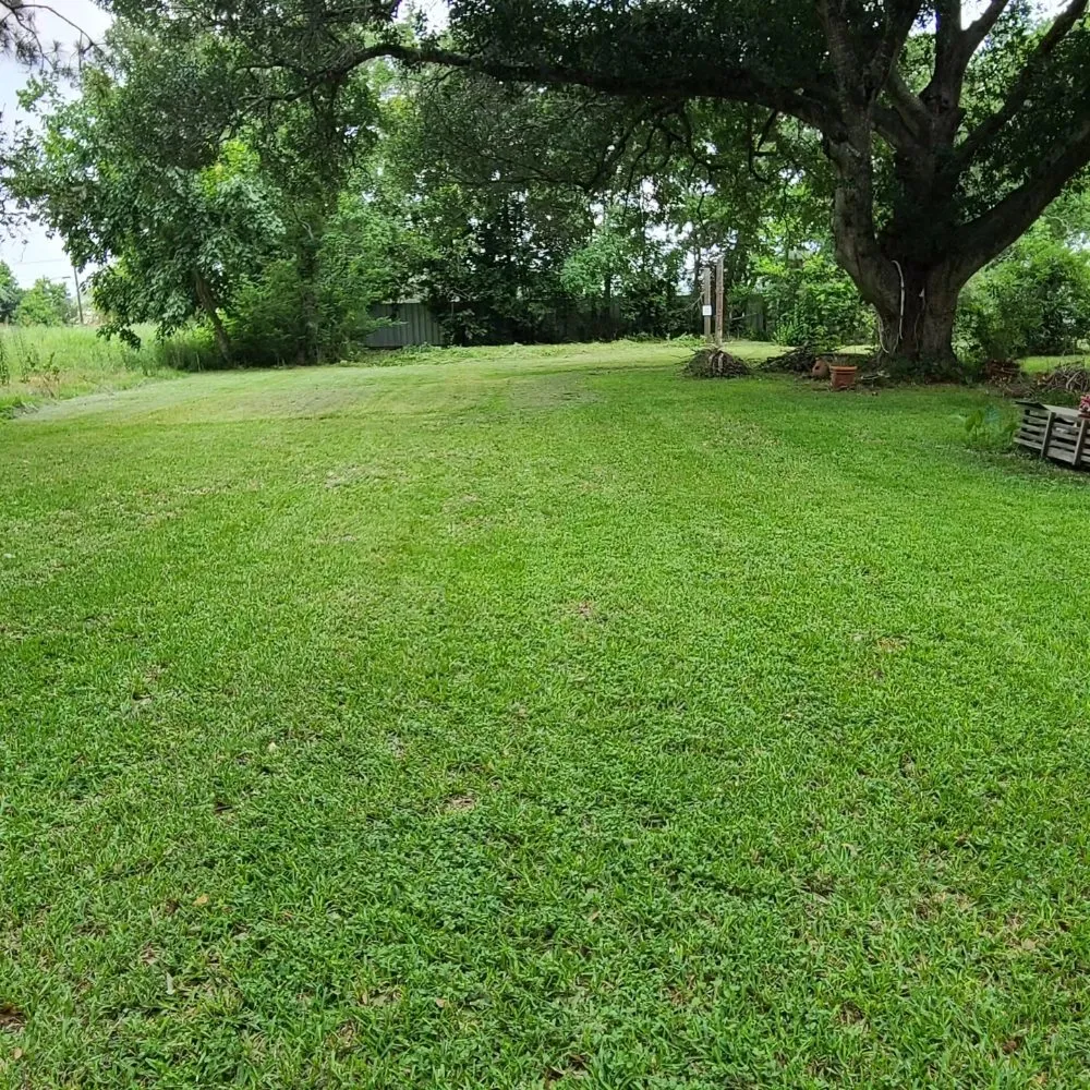 Expert lawn care service in Houston, TX - Alarcon Landscaping