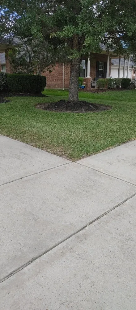 Local outdoor landscaping in Houston, TX - Alarcon Landscaping