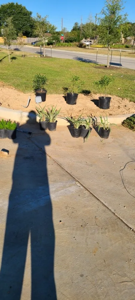 Local lawn care service for outdoor upgrades in Houston, TX by Alarcon Landscaping