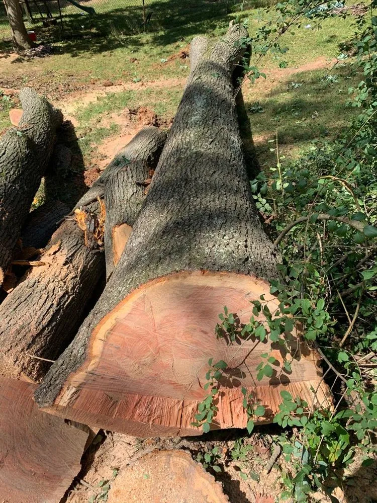 Expert landscaping services in Adelphi, MD by Alarcon's Landscaping