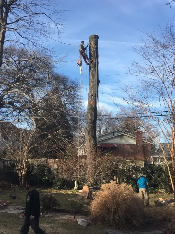 Local outdoor landscaping in Adelphi, MD by Alarcon's Landscaping