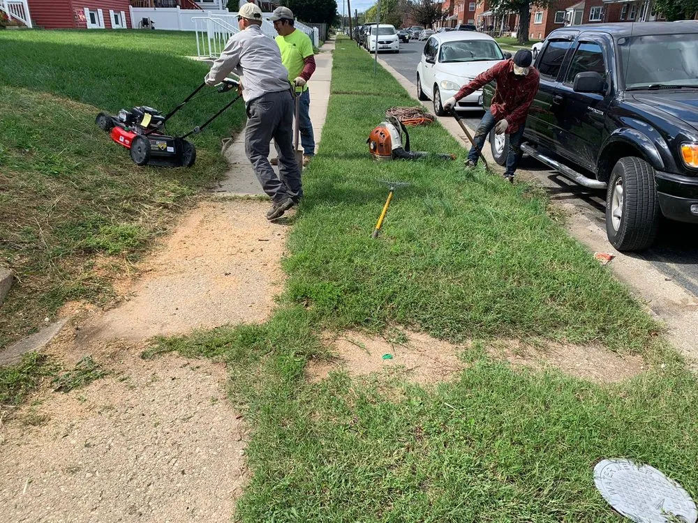 Trusted landscaping services in Adelphi, MD - Alarcon's Landscaping