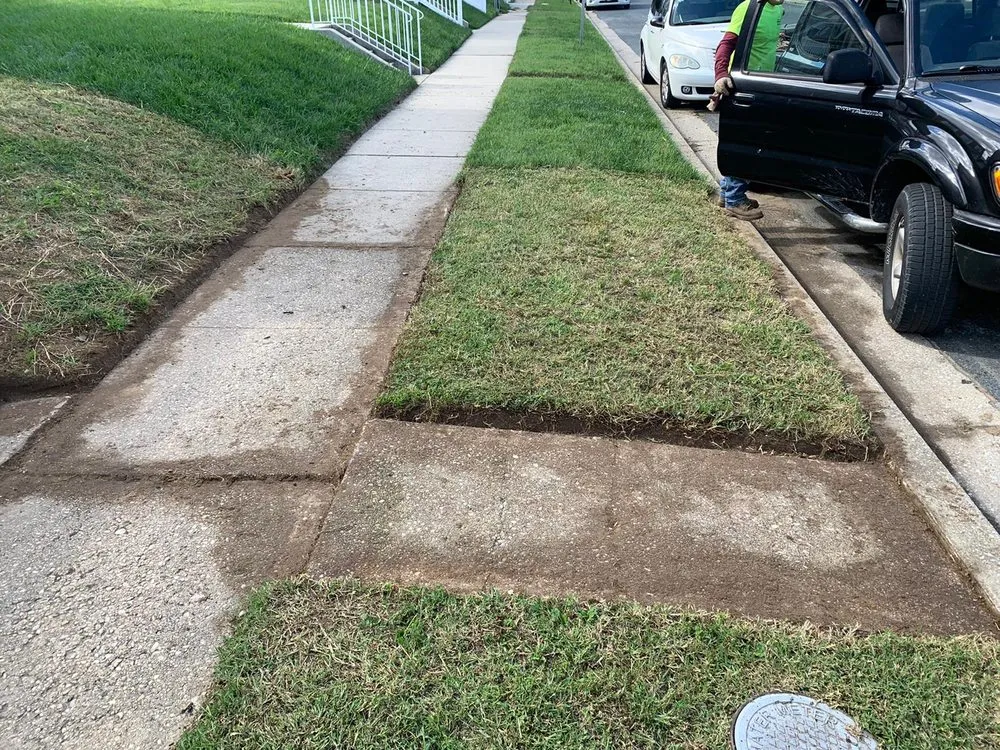 Custom landscaping services for year-round maintenance across Adelphi, MD - Alarcon's Landscaping