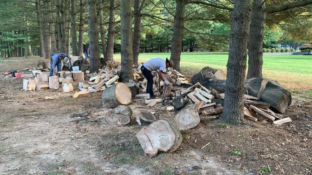 Professional garden landscaping for year-round maintenance across Adelphi, MD - Alarcon's Landscaping