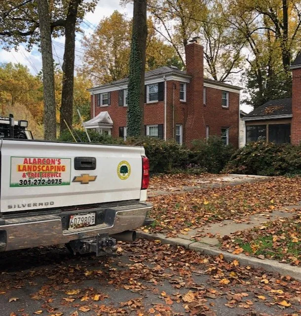 Affordable lawn mowing service experts serving Adelphi, MD - Alarcon's Landscaping