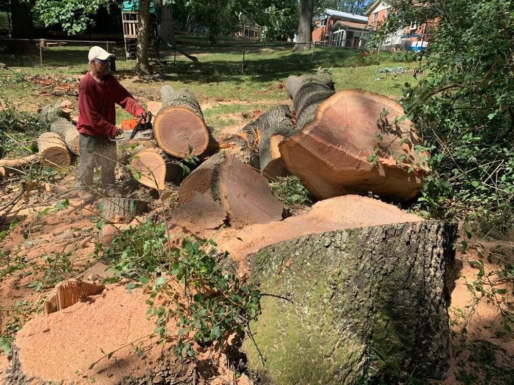 Local lawn care service in Adelphi, MD - Alarcon's Landscaping