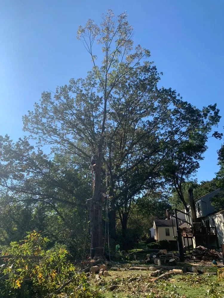 Local landscape design in Adelphi, MD - Alarcon's Landscaping