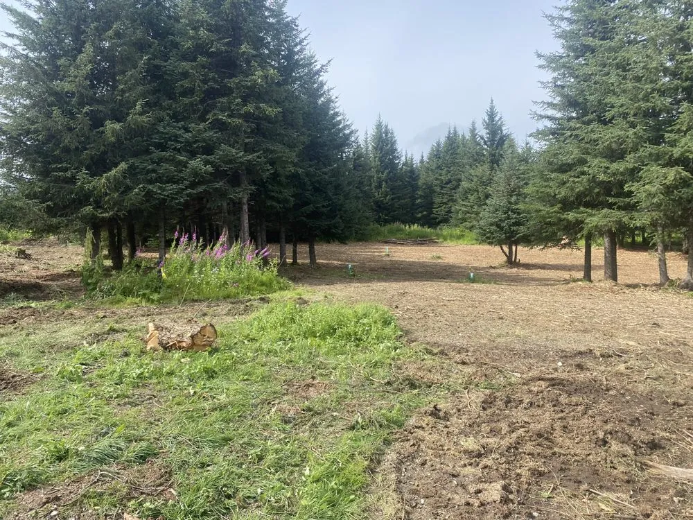 Local lawn mowing service in Homer, AK by Alaska Eco Forestry