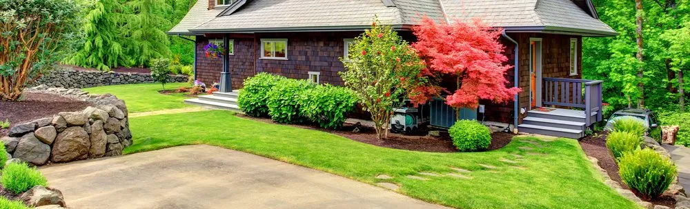 Local lawn care service in Weatherford, TX - Alaya James Lawn Care & Junk Removal