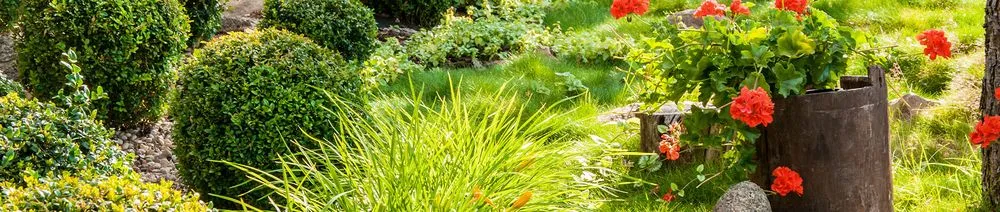 Professional yard cleanup service for outdoor upgrades across Weatherford, TX - Alaya James Lawn Care & Junk Removal