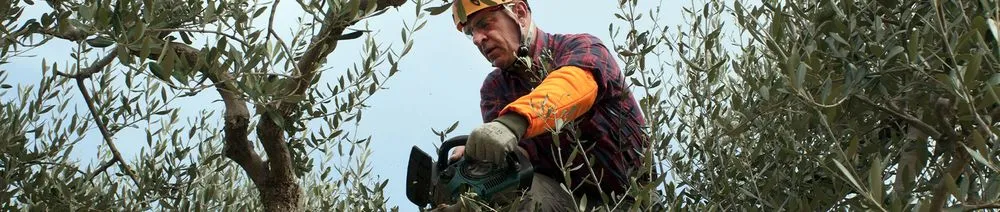 Trusted residential landscaping in Weatherford, TX by Alaya James Lawn Care & Junk Removal