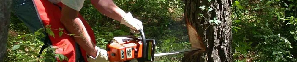 Local yard maintenance in Weatherford, TX by Alaya James Lawn Care & Junk Removal