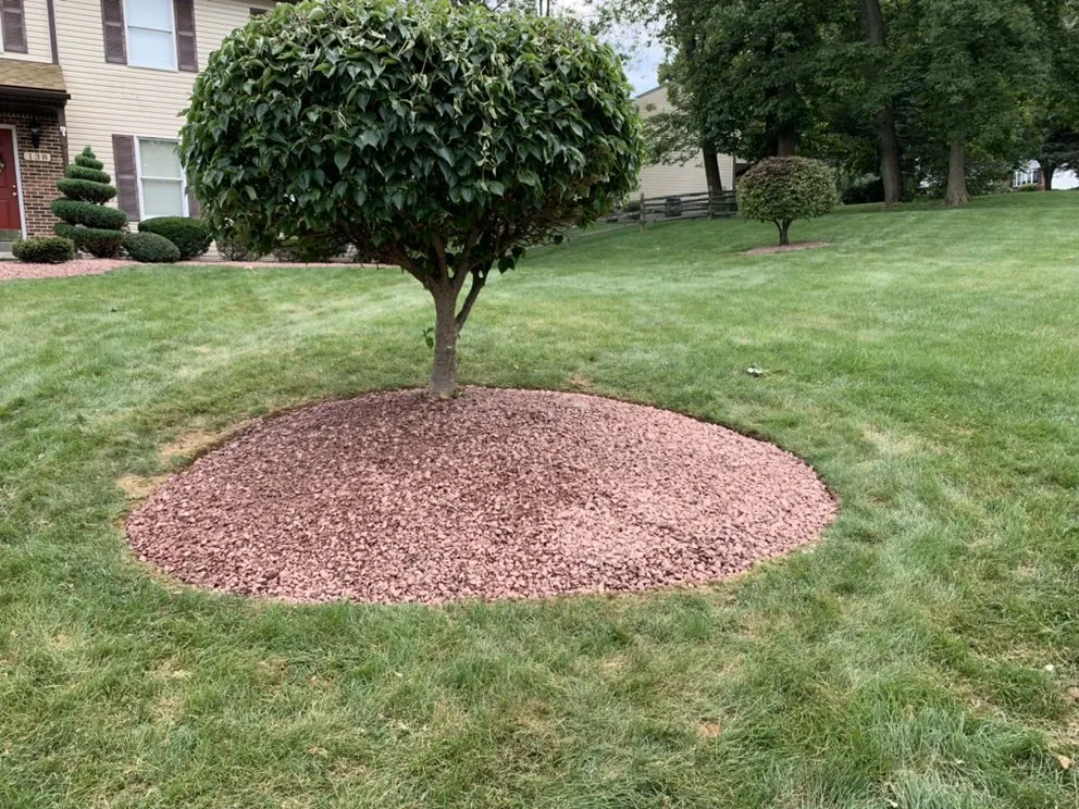 Trusted lawn mowing service in Sinking Spring, PA by ALB Lawn & Landscape