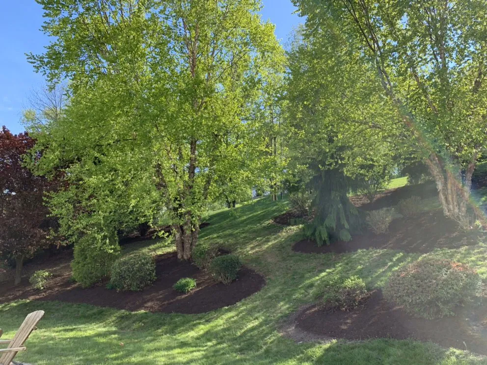 Reliable yard cleanup service experts serving Sinking Spring, PA - ALB Lawn & Landscape