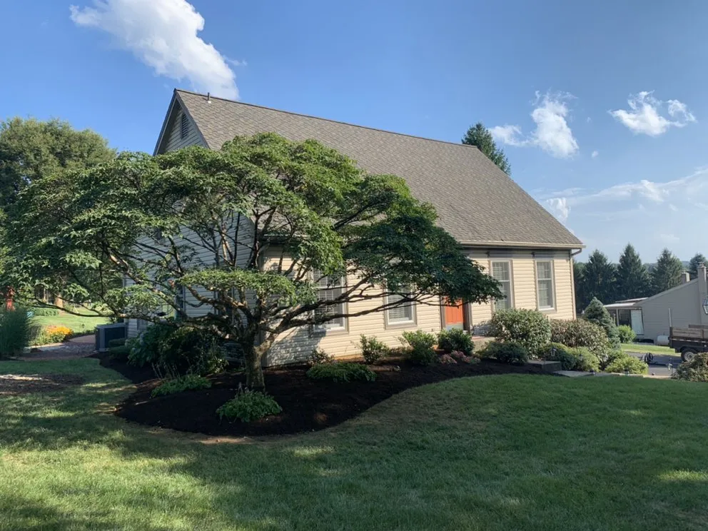 Expert lawn care service for homes in Sinking Spring, PA by ALB Lawn & Landscape