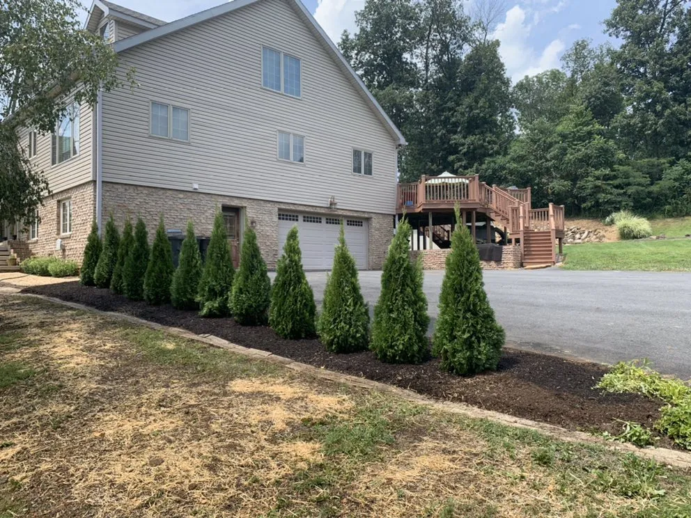 Professional outdoor landscaping in Sinking Spring, PA - ALB Lawn & Landscape