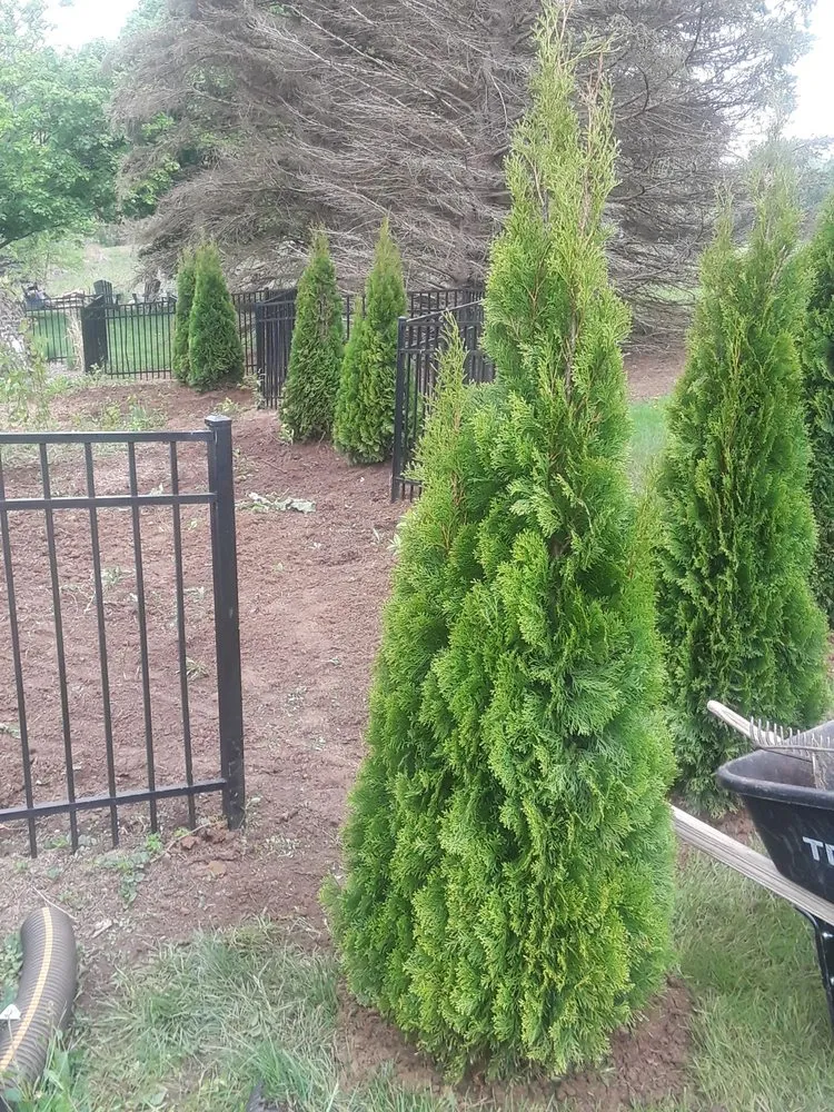 Trusted outdoor landscaping in Rockford, IL - ALB Tree Service