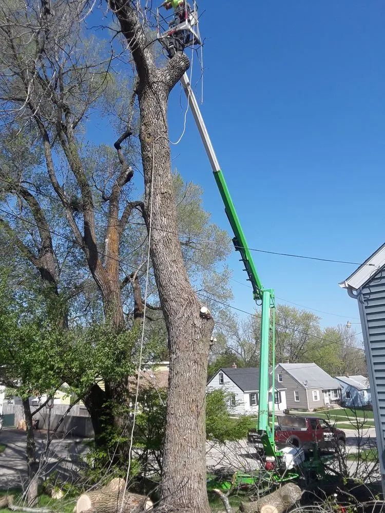 Local garden landscaping for outdoor upgrades in Rockford, IL by ALB Tree Service