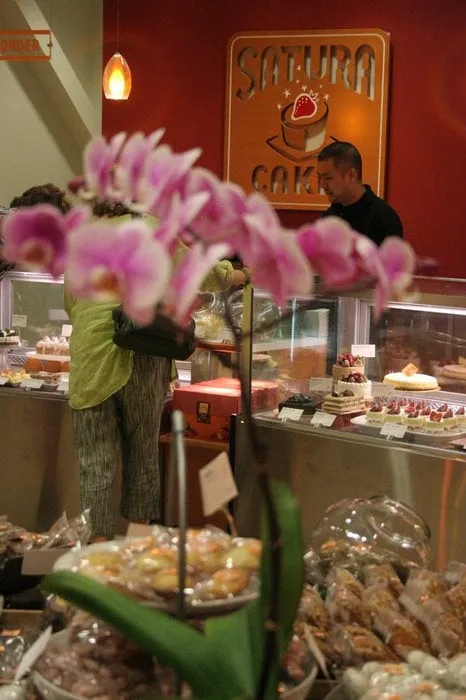 Expert yard cleanup service experts serving Rockford, IL - ALB Tree Service