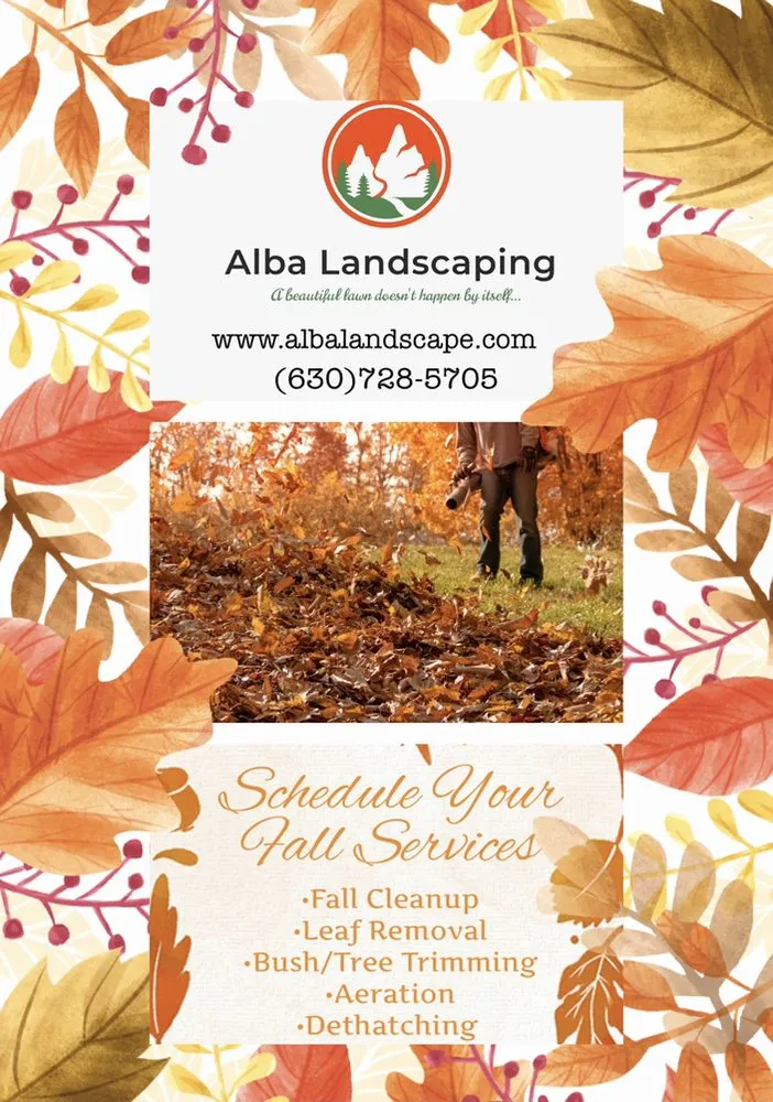 Professional landscaping services in Wauconda, IL by Alba Landscaping
