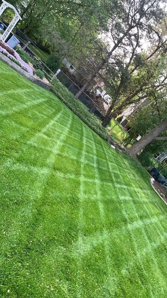 Local yard maintenance in Wauconda, IL - Alba Landscaping