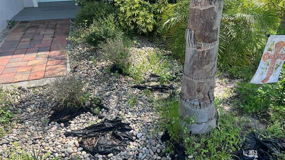 Trusted outdoor landscaping for beautiful yards in Kissimmee, FL by Albafar