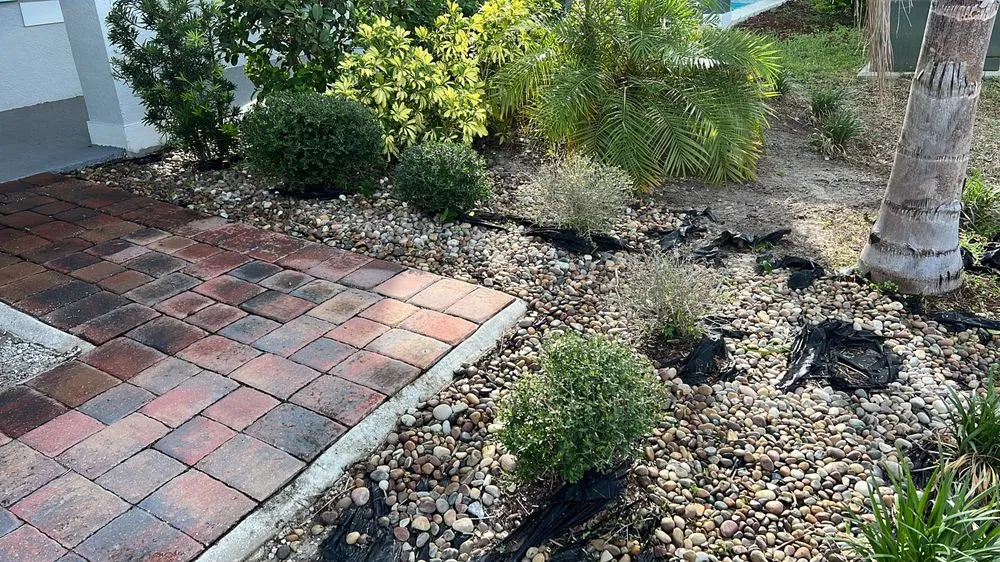 Trusted lawn care service with custom design across Kissimmee, FL - Albafar