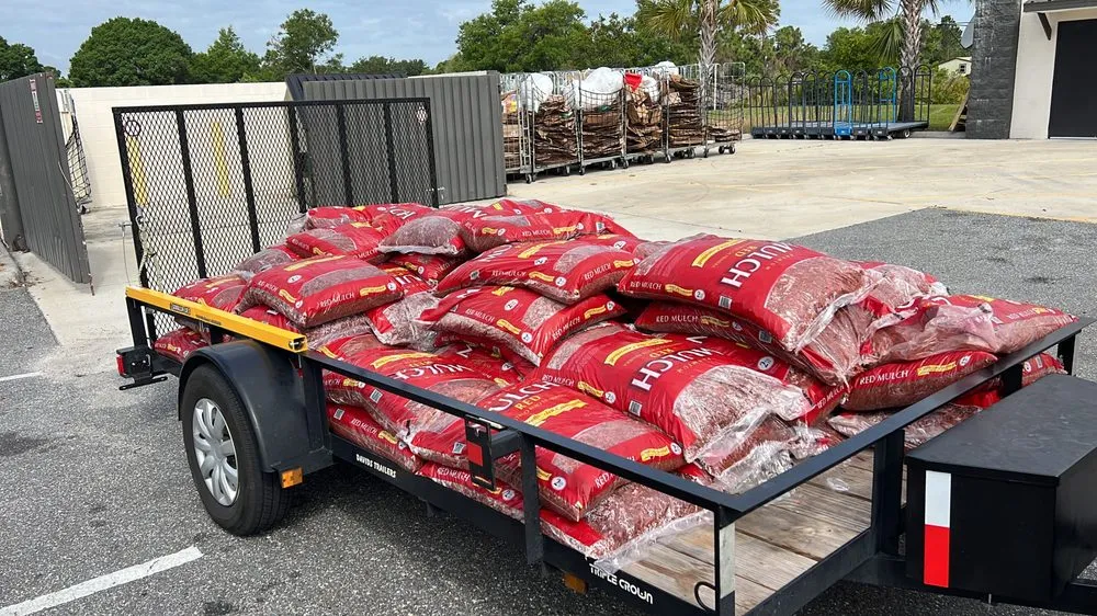 Reliable yard maintenance experts serving Kissimmee, FL - Albafar