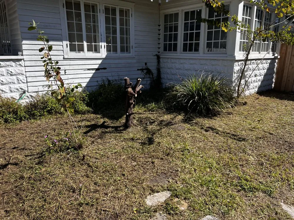 Affordable landscape design in Kissimmee, FL - Albafar