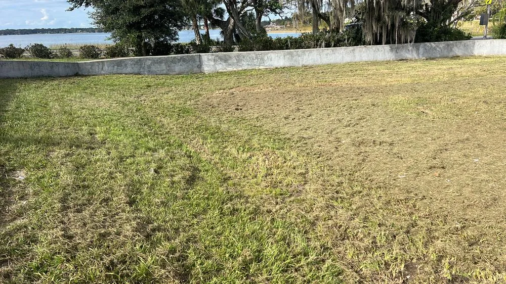 Top-rated residential landscaping in Kissimmee, FL by Albafar