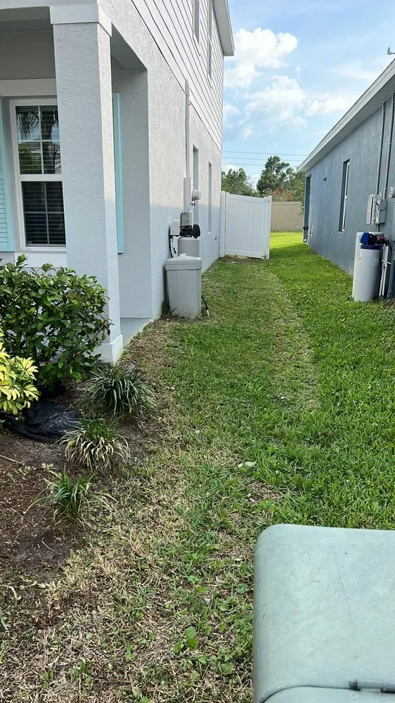 Custom yard cleanup service with custom design in Kissimmee, FL by Albafar