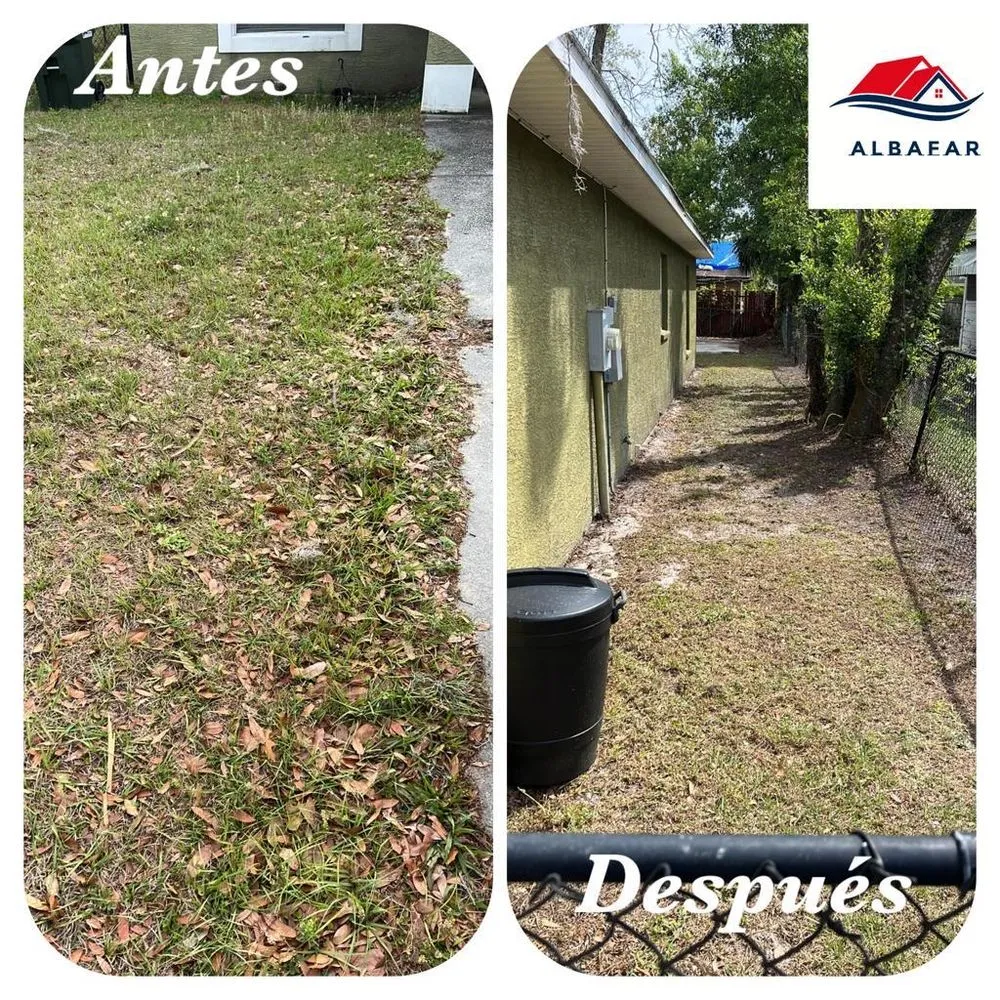 Professional landscape design for homes across Kissimmee, FL - Albafar