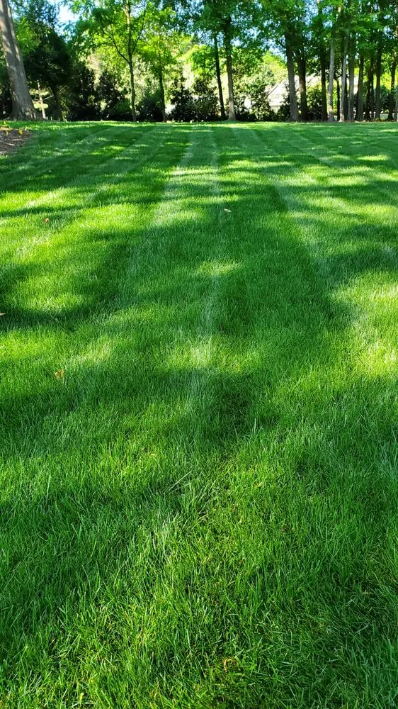 Custom landscaping services for homes in Dallas, GA by Albamex Landscaping