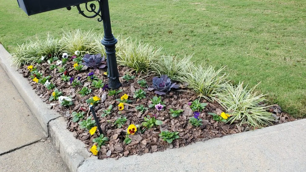 Local lawn mowing service in Dallas, GA - Albamex Landscaping