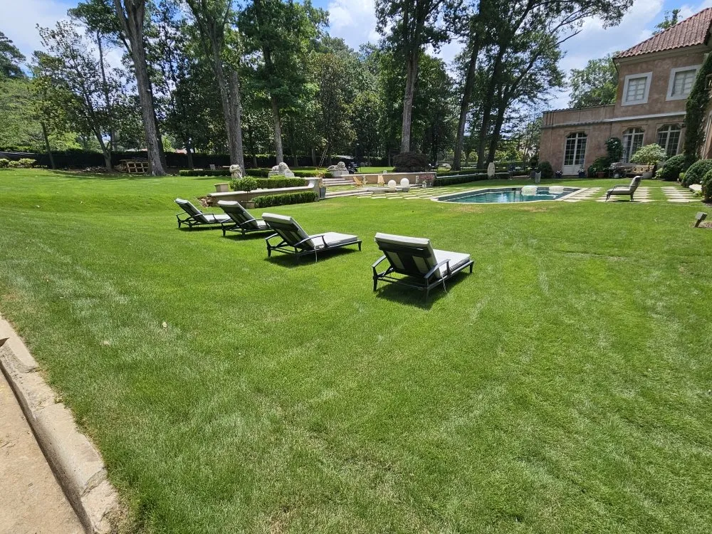 Professional outdoor landscaping in Dallas, GA - Albamex Landscaping
