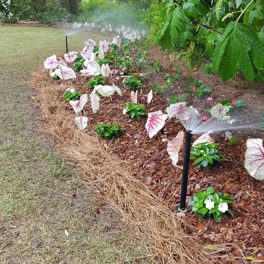 Affordable landscaping services near you in Dallas, GA by Albamex Landscaping