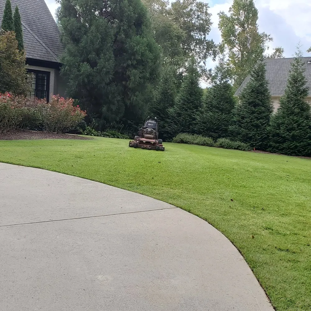 Professional residential landscaping experts serving Dallas, GA - Albamex Landscaping